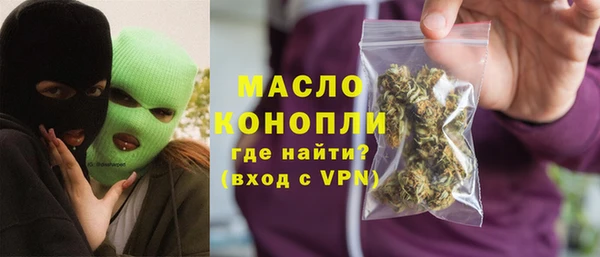 молекула духа Туринск
