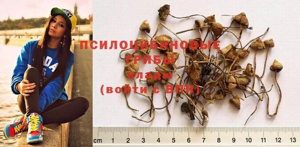 экстази Богданович