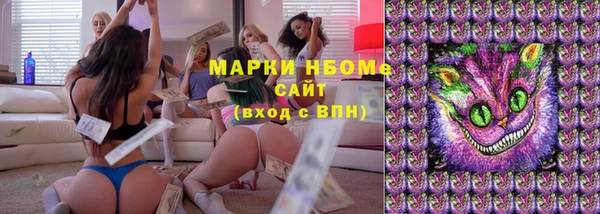 тгк Бородино