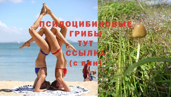 дистиллят марихуана Богородицк